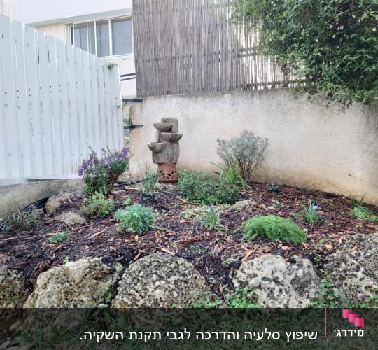 גינה עם צמחים, אבנים ופסל קטן